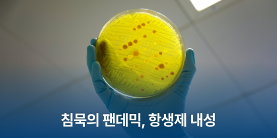 침묵의 팬데믹, 항생제 내성
